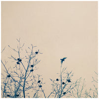 The One That Got Away - Fine Art Photograph