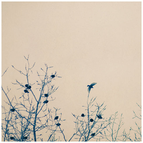 The One That Got Away - Fine Art Photograph