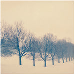 Fading - Fine Art Photograph