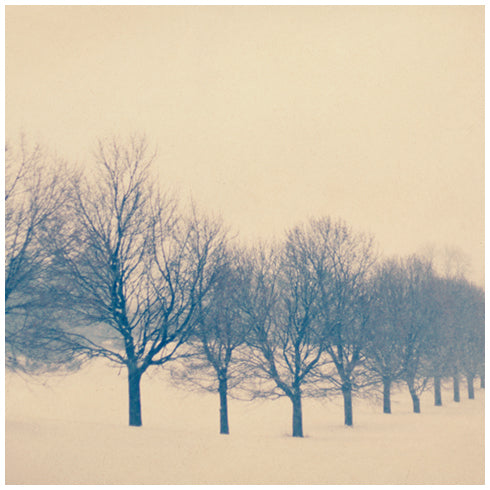 Fading - Fine Art Photograph