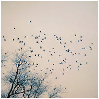 Restless - Friday Outlet