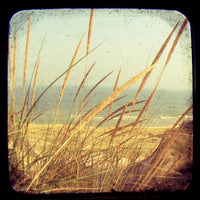 Hush - Fine Art Photograph