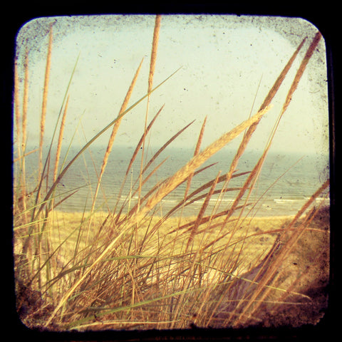 Hush - Fine Art Photograph