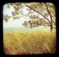 Still - Fine Art Photograph