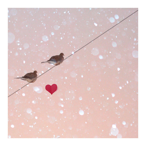 Lovebirds - Fine Art Photograph