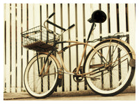 Fence with Bike - Fine Art Photograph