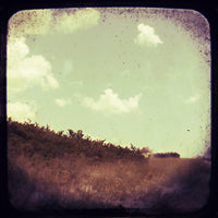 Lowlands - Fine Art Photograph
