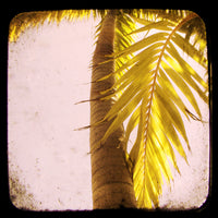 Breeze - Fine Art Photograph