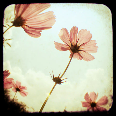 Friday's Child - Fine Art Photograph