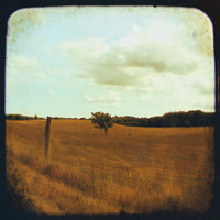 Five Hours - Fine Art Photograph