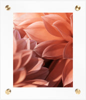 Custom Frame: Brass Post Acrylic Floating Frame (Print Included)