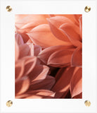 Custom Frame: Brass Post Acrylic Floating Frame (Print Included)
