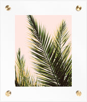 Custom Frame: Brass Post Acrylic Floating Frame (Print Included)