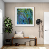 Blue Feathers #2 - Fine Art Photograph