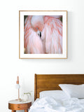 Flamingo #2 - Fine Art Photograph